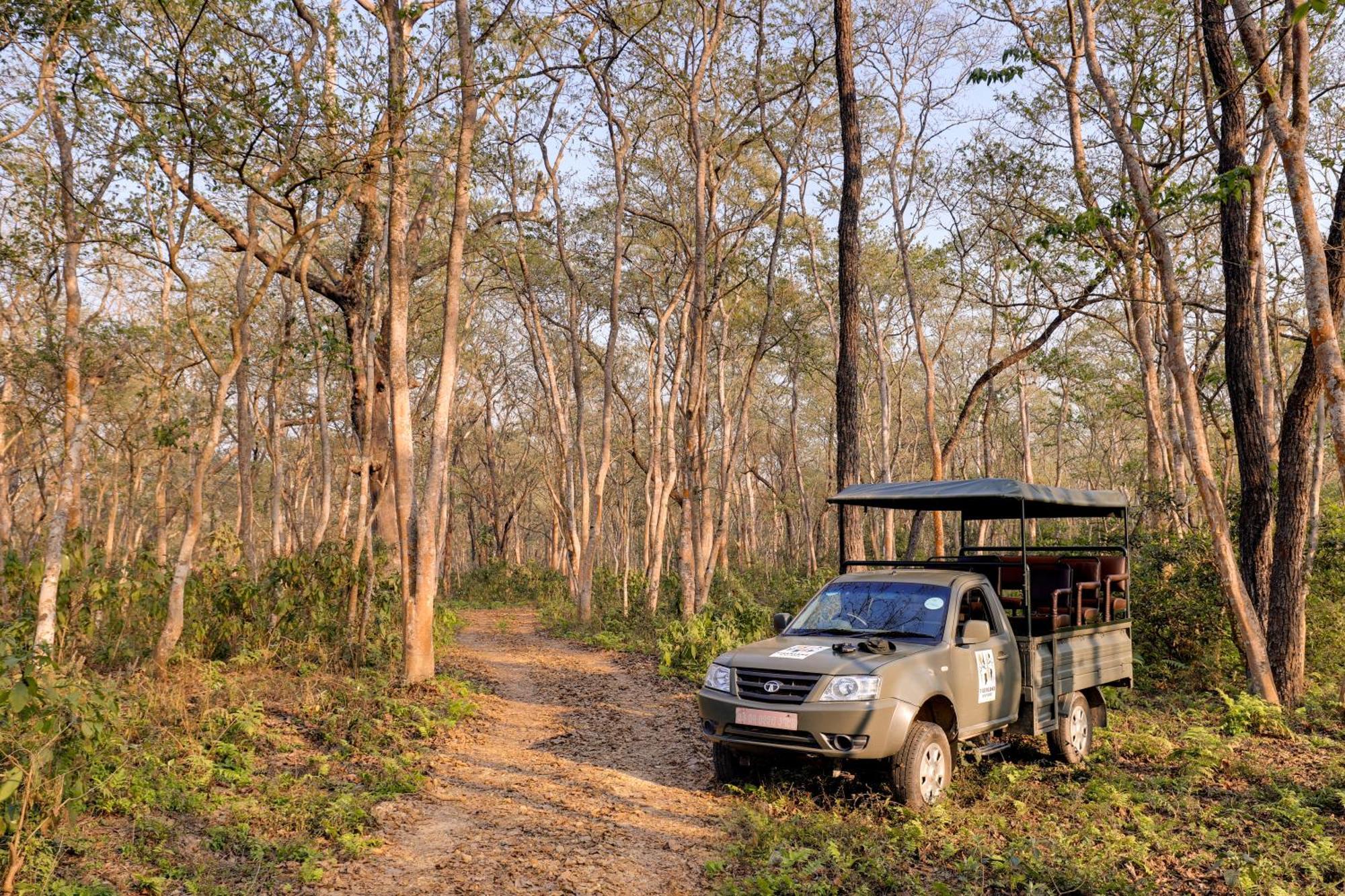 Tigerland Safari - A Lemon Tree Resort, Chitwan, Nepal Patlahara Εξωτερικό φωτογραφία