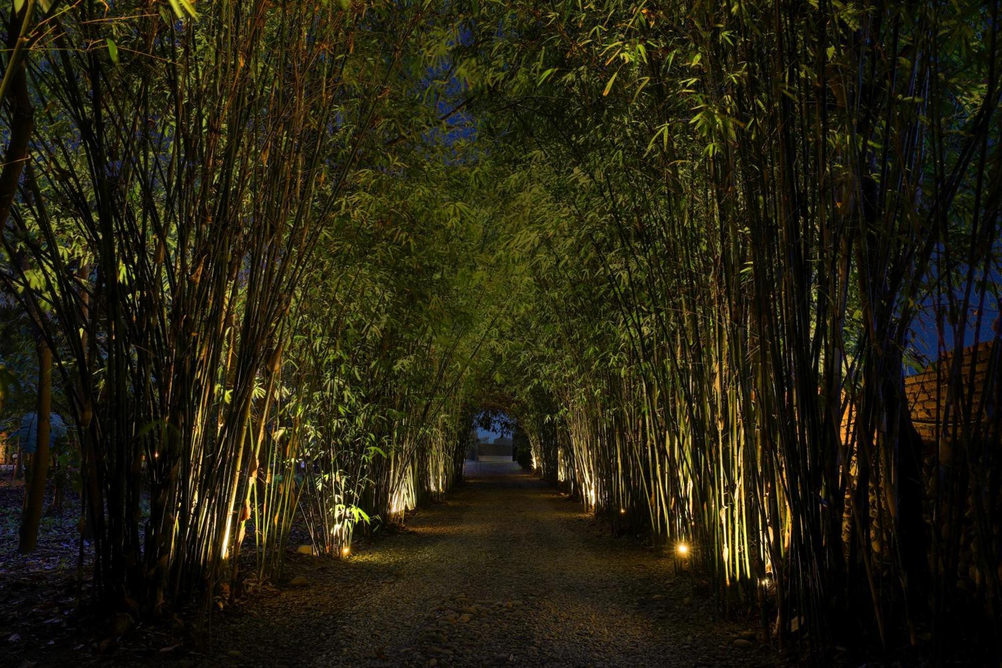 Tigerland Safari - A Lemon Tree Resort, Chitwan, Nepal Patlahara Εξωτερικό φωτογραφία