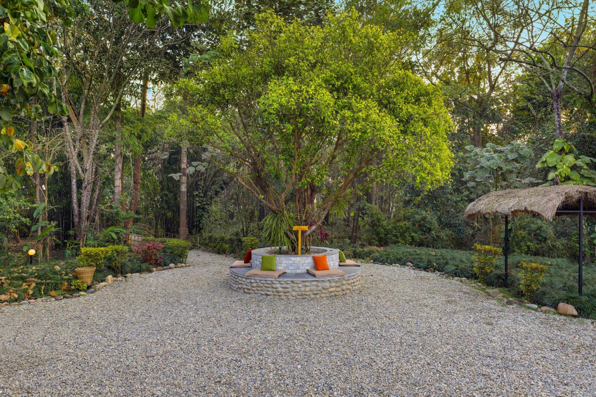 Tigerland Safari - A Lemon Tree Resort, Chitwan, Nepal Patlahara Εξωτερικό φωτογραφία