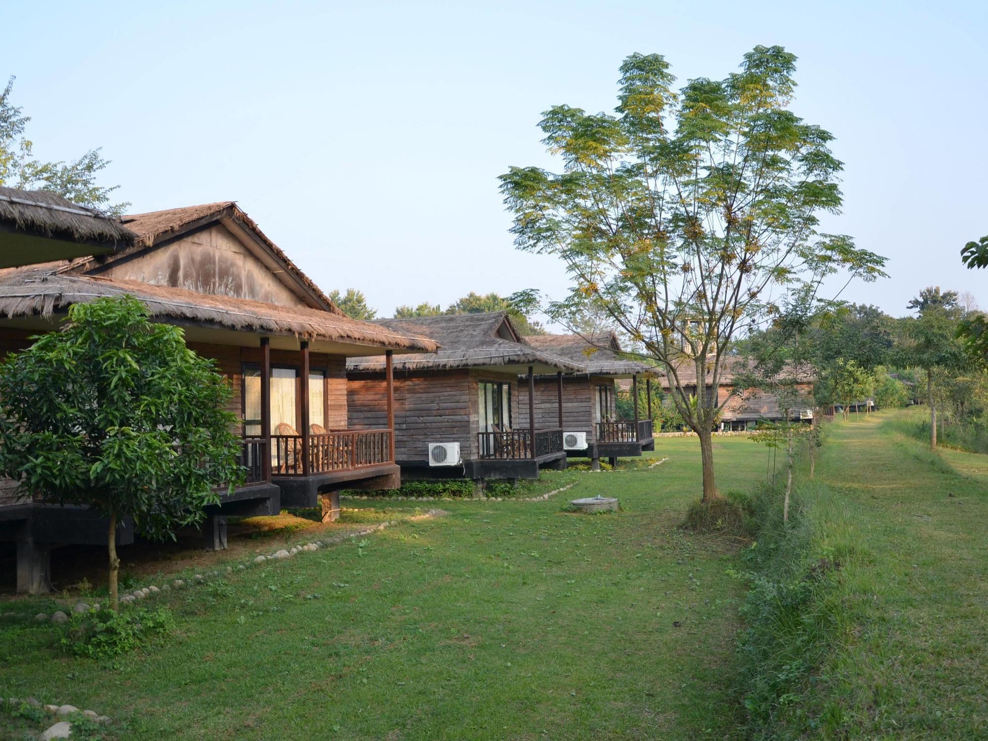 Tigerland Safari - A Lemon Tree Resort, Chitwan, Nepal Patlahara Εξωτερικό φωτογραφία